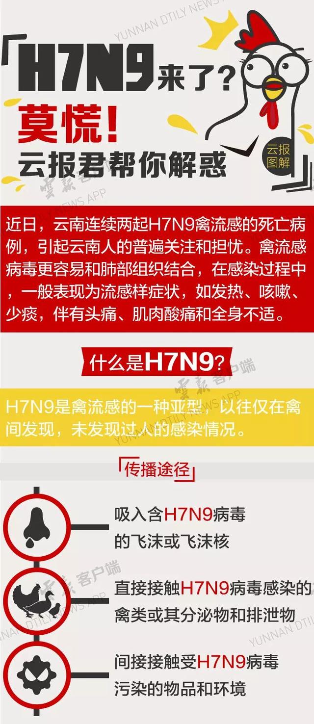 云南H7N9最新动态，全面防控，守护人民健康